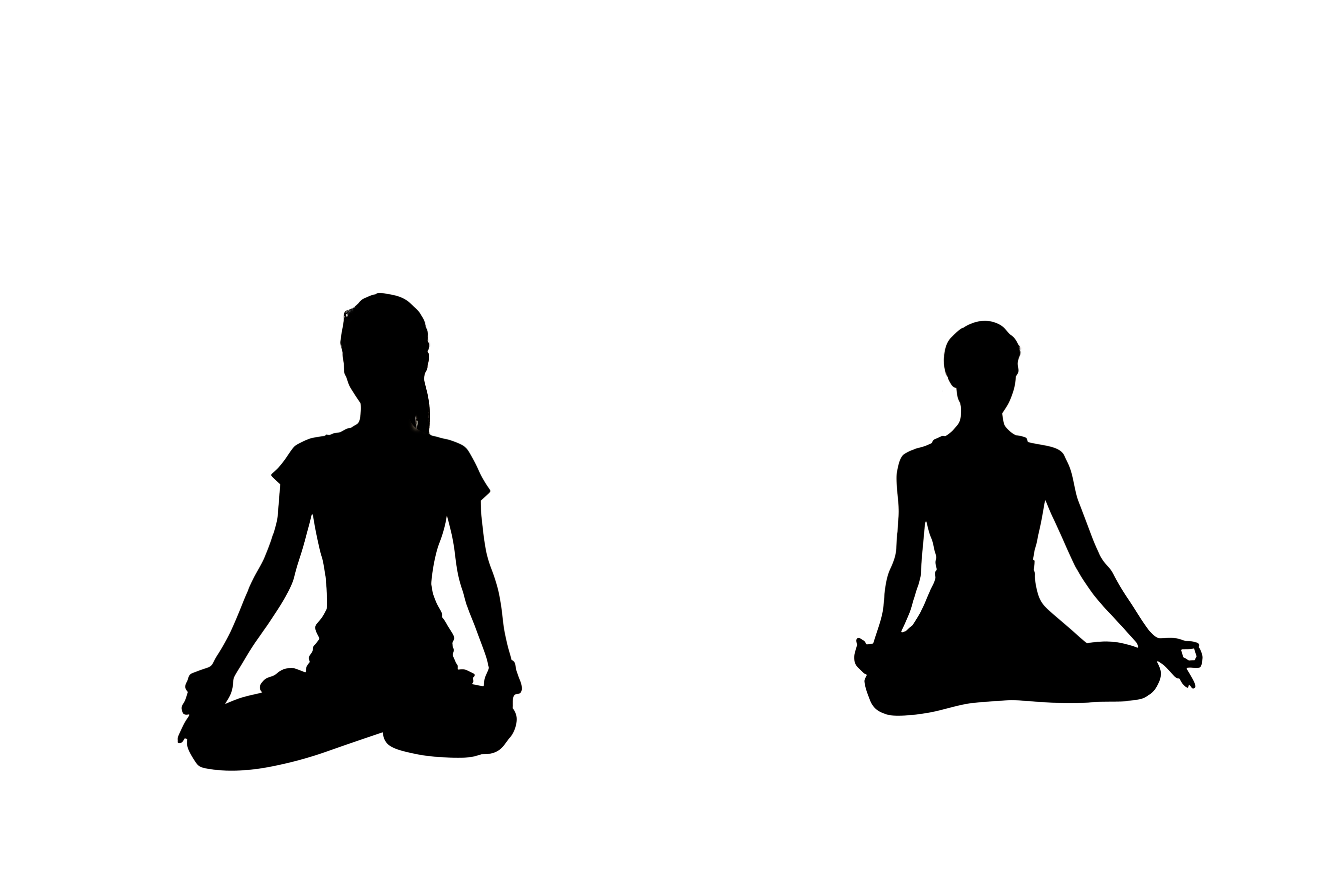 Padmasana png transparent image, PARIVRTTA BADDHA TRIKONASANA BOUND TRIANGLE POSE png full hd images download